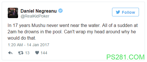Daniel Negreanu爱犬Mushu在娱乐场泳池溺亡