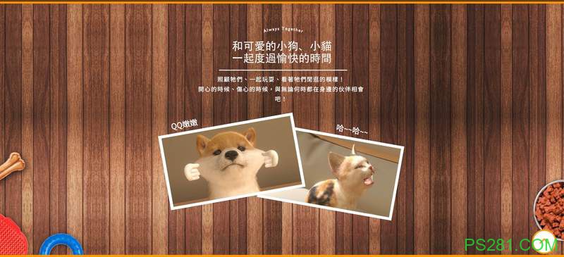 养成游戏《小小伙伴 -狗狗&猫猫-》中文版将发售 玩家变身铲屎官