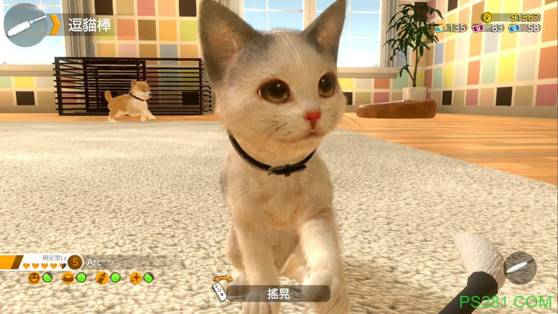 养成游戏《小小伙伴 -狗狗&猫猫-》中文版将发售 玩家变身铲屎官